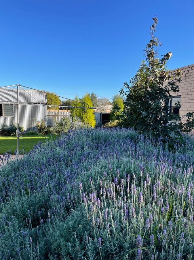 Villa Comfort-Style-Unexpected Sea Lake Exterior foto